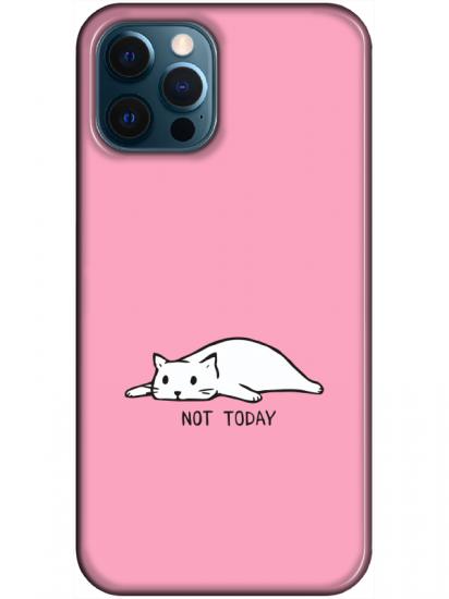 iPhone 12 Pro Not Today Kedi Pembe Telefon Kılıfı