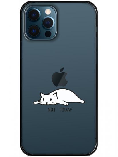 iPhone 12 Pro Max Not Today Kedi Şeffaf Telefon Kılıfı