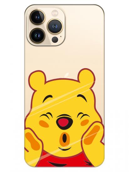 iPhone 13 Pro Winnie The Pooh Şeffaf Telefon Kılıfı