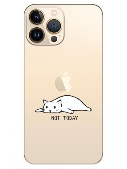 iPhone 13 Pro Not Today Kedi Şeffaf Telefon Kılıfı