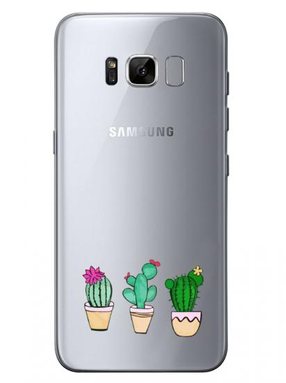 Samsung S8 Kaktüs Şeffaf Telefon Kılıfı